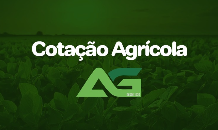 Cotações Agrícolas para esta Quarta-feira 05 de Junho 2024.