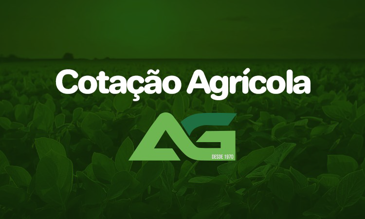 Cotações Agrícolas para esta Quarta-feira 19 de Novembro de 2025