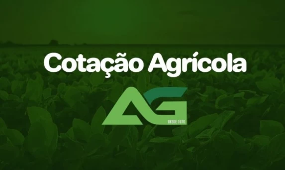 Cotações Agrícolas para esta Quarta-feira 26 de Novembro de 2025