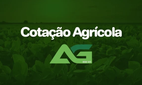 Cotações Agrícolas para esta Quarta-feira 29 de Janeiro 2025