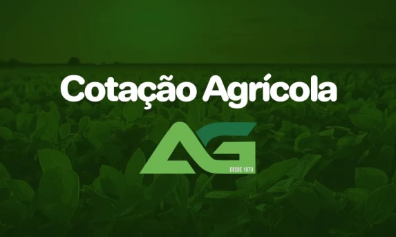 Cotações Agrícolas para esta Quarta-feira 29 de Outubro de 2025