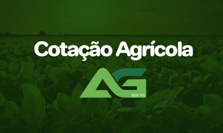 Cotações Agrícolas para esta Terça-feira 25 de Novembro de 2025