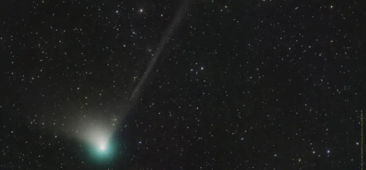 CURIOSIDADE: Cometa que passou pela última vez na órbita terrestre há 50 mil anos será visível no Hemisfério Sul em fevereiro.