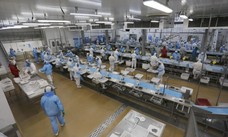 Demanda Recorde: Dezembro Começa com Mais de 27 Mil Vagas de Emprego no Paraná