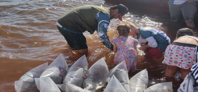 DESENVOLVIMENTO SUSTENTÁVEL: Em apoio a Desafio de Pesca, Governo promove soltura de 105 mil peixes nativos no Rio Paraná