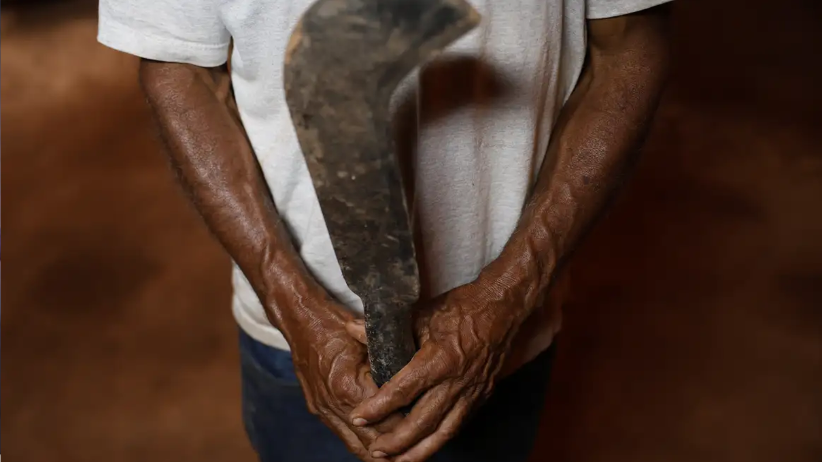DESMATAMENTO NA FRONTEIRA DO CERRADO GERA ONDA DE VIOLÊNCIA, CONFLITOS POR TERRA E GRILAGEM