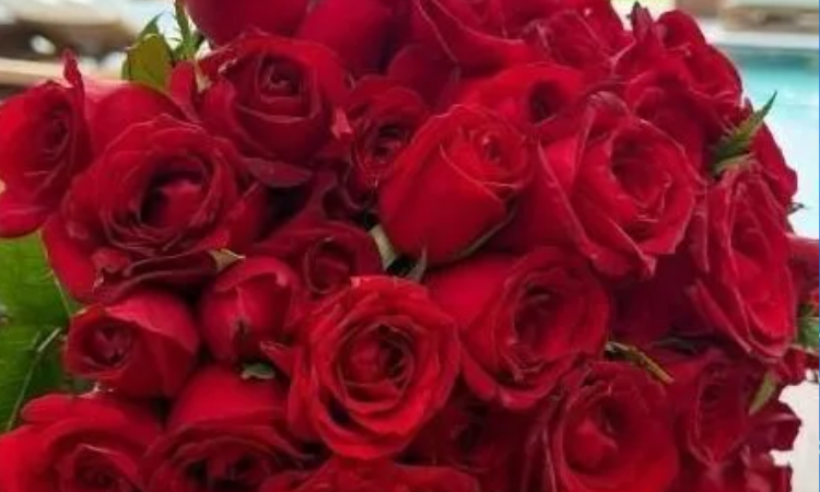 DIA DA MULHER DEVE ELEVAR VENDAS DE FLORES EM 6% EM 2026