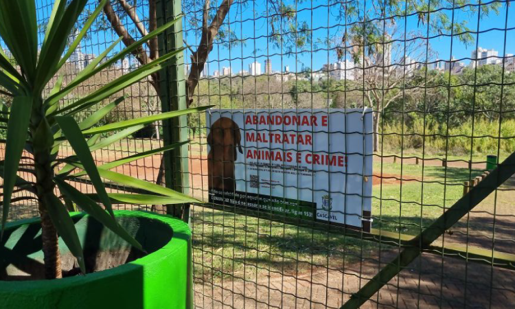 Dia Mundial do Cachorro é marcado por ataque violento em Cascavel.