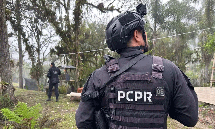 Doze pessoas são presas em operação contra tráfico de drogas no Paraná