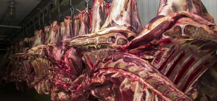 ECONOMIA: China aceitará carne bovina do Brasil certificada até 4 de setembro