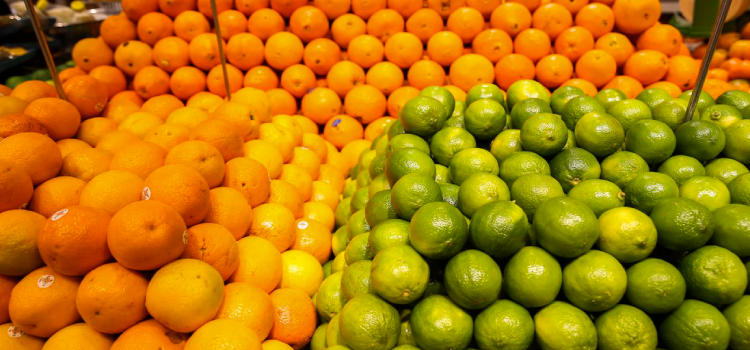 ECONOMIA: Conab diz que frutas registram queda de preços.