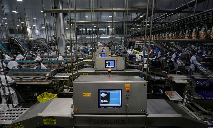 ECONOMIA | Paraná Bate Recorde Histórico de Emprego com Mais de 26 Mil Vagas Disponíveis nas Agências do Trabalhador ECONOMIA | Paraná Bate Recorde Histórico de Emprego com Mais de 26 Mil Vagas Disponíveis nas Agências do Trabalhador