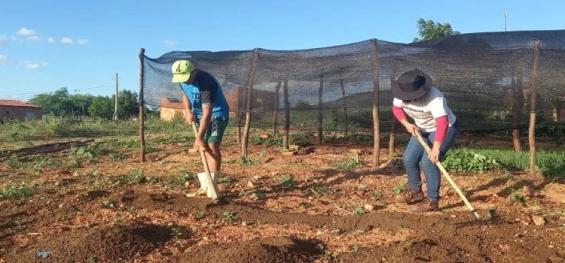 ECONOMIA: Trabalhadores pedem redução de juros para produzir alimentos no Brasil.