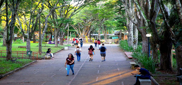 EDUCAÇÃO: Ensino superior do Paraná está entre os mais bem avaliados do Brasil.