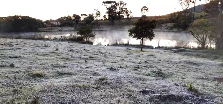 Em mais uma madrugada gelada, os termômetros marcaram -2°C, confira a previsão para os próximos dias. 