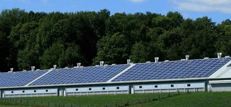 ENERGIA SUSTENTÁVEL: Senado aprova mudanças na geração de energia solar.