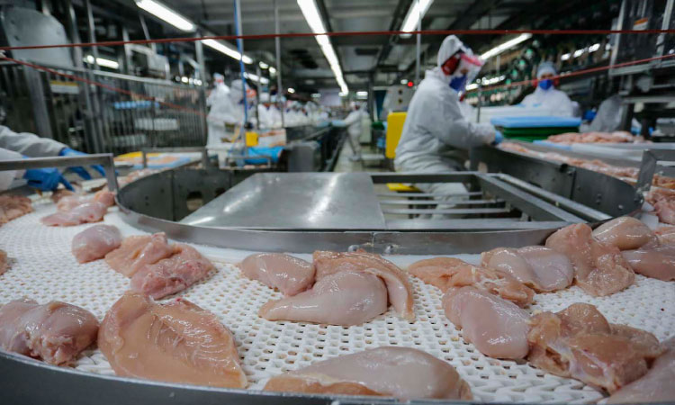 Exportação de carne do Paraná cresce 20,8% nos primeiros meses de 2025
