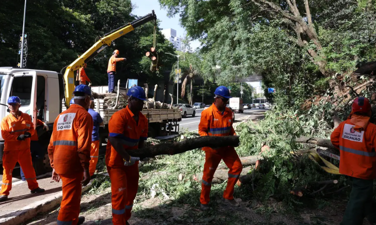 Forte Ventania Causa Caos em São Paulo: 1,5 Milhão de Clientes Ficam Sem Energia e Cidade Enfrenta Congestionamentos