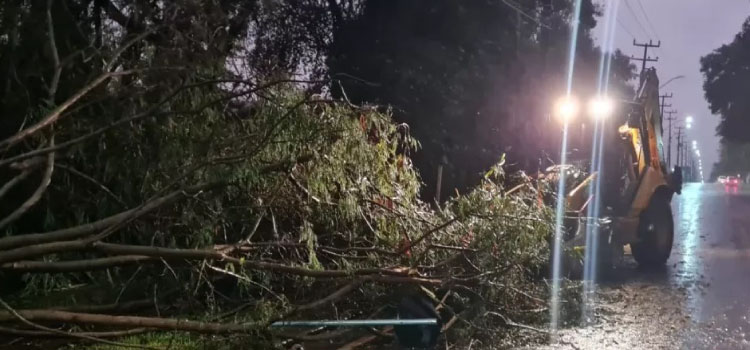 FOZ DO IGUAÇU: Equipes trabalham nos reparos de danos após temporal.