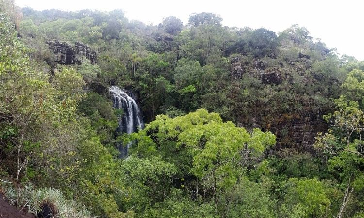 Fundo Verde do BRDE investe R$ 3,5 milhões em projetos ambientais no Paraná