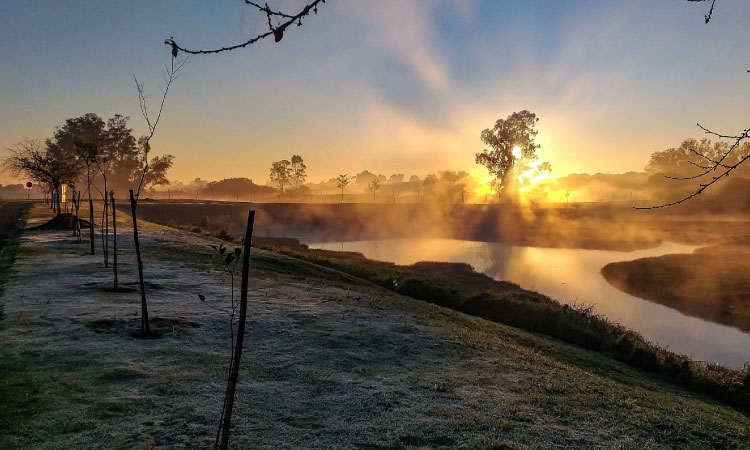 Geada dá as caras nas cidades, mas frio deve diminuir nos próximos dias no Paraná