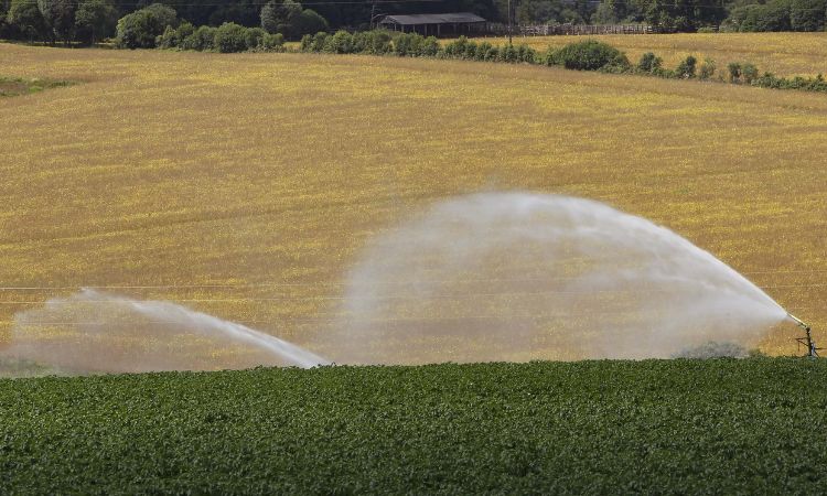 Governo do Paraná prorroga ICMS zero para o agronegócio até o final de 2026