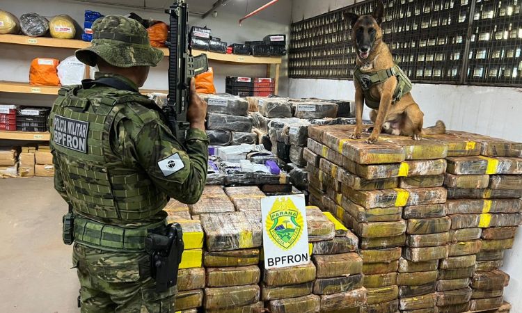 GRANDE APREENSÃO: PMPR E CACHORRO FAREJADOR ENCONTRAM 1,5 TONELADA DE MACONHA ESCONDIDA EM MATA DE SANTA HELENA