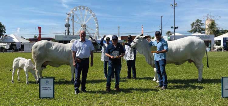 GUARANIAÇU: Animal de criador guaraniaçuense é campeão geral em sua categoria na ExpoLondrina 2022.