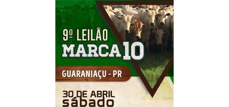 GUARANIAÇU: Sociedade Rural promove seu 9º Leilão MARCA 10.