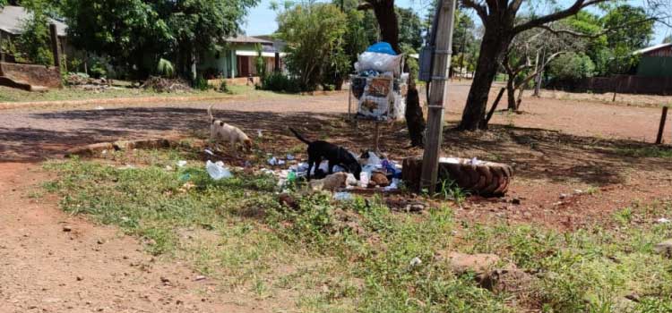 GUARANIAÇU: Vereador Carlão expõe situação da coleta de lixo e entulhos no município.
