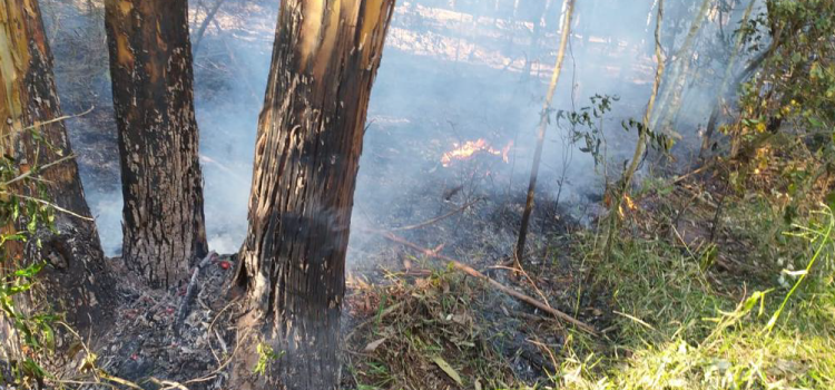 GUARANIAÇU – Incêndio atinge propriedade na comunidade de Nova Brasília