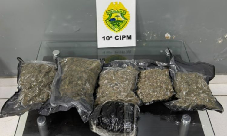 https://www.campoabertofm.com.br/noticias/ls-rotam-apreende-4kg-de-murruga-em-onibus-na-estacao-rodoviaria