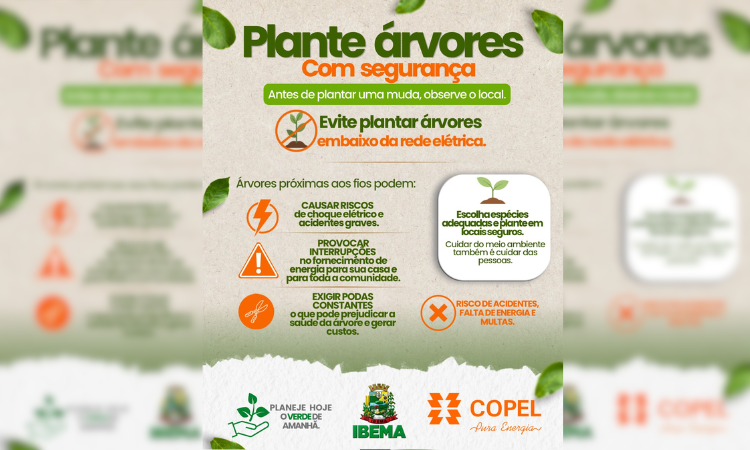 IBEMA: Prefeitura orienta sobre o plantio seguro de árvores próximo à rede elétrica