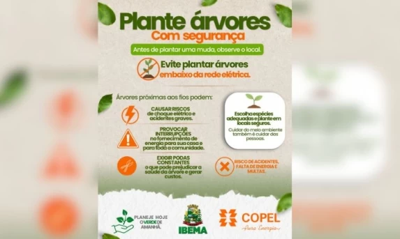 IBEMA: Prefeitura orienta sobre o plantio seguro de árvores próximo à rede elétrica