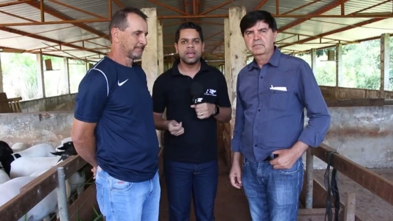 INCENTIVO À OVINOCULTURA: ASSOCIAÇÃO DE GUARANIAÇU RECEBE CARNEIROS DE ALTA GENÉTICA