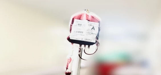 JUNHO VERMELHO E LARANJA: A importância da doação de sangue e o combate a anemia e leucemia.