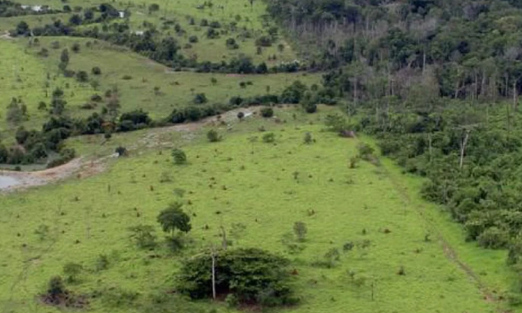 Lei permite a produtor rural usar cadastro ambiental para cálculo do ITR