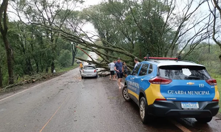 Mini tornado é registrado em São Miguel do Iguaçu.