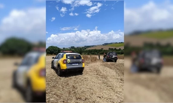 MISTÉRIO EM QUEDAS DO IGUAÇU: CADÁVER EM ESTADO AVANÇADO DE DECOMPOSIÇÃO É ENCONTRADO EM PLANTAÇÃO
