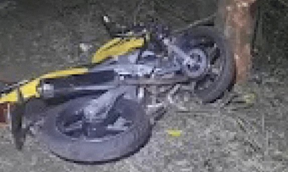 Motociclista morre após colisão com árvore na PR-239 em Nova Cantu