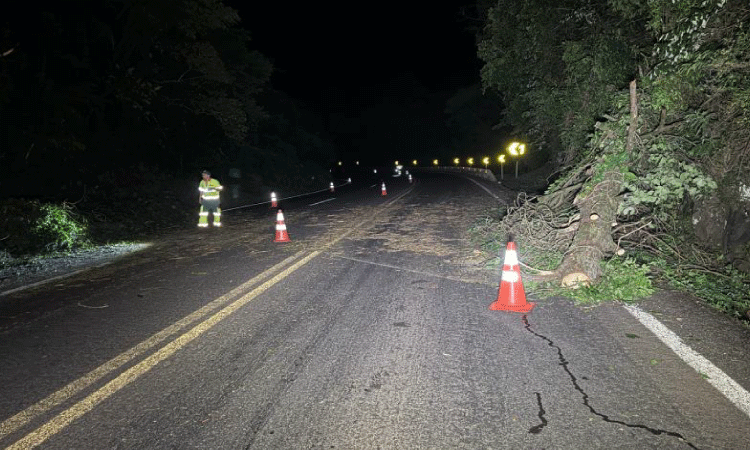 NOVA LARANJEIRAS: Ato Criminoso interdita rodovia BR 277