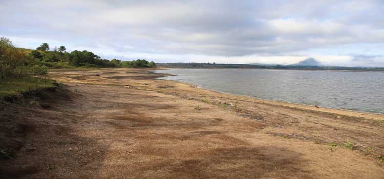 NOVA RESOLUÇÃO: Paraná terá novas diretrizes para garantir reuso da água com qualidade
