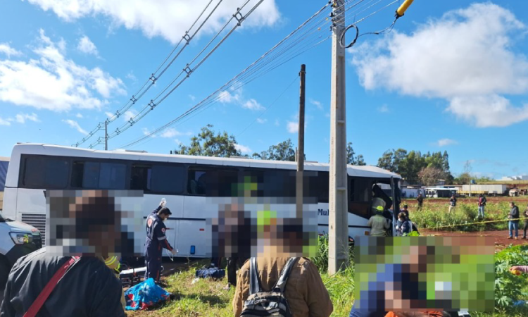 Ônibus com 36 passageiros é atingido por caminhão e deixa vários feridos na BR 277
