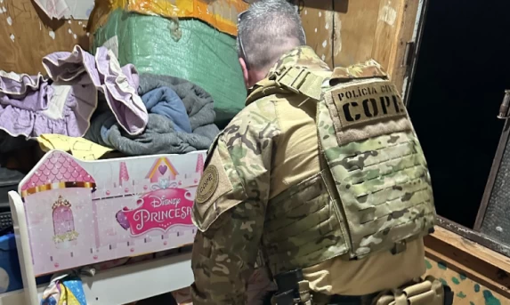 Operação é deflagrada contra comércio ilegal de armas no Sudoeste do Paraná