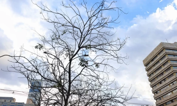 Outono começa nesta sexta-feira com previsão de temperaturas acima da média e chuvas intensas no Paraná