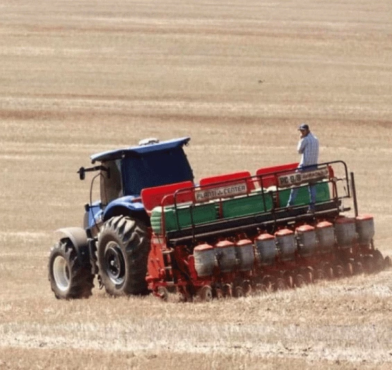 País pode ter primeira redução de área plantada em mais de uma década.