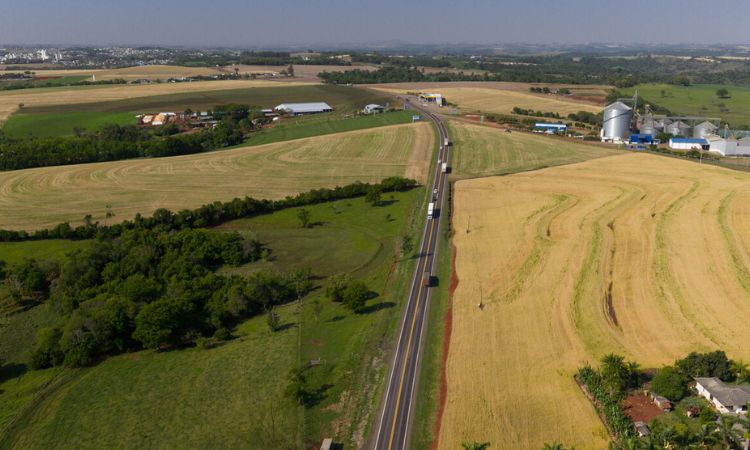 Para facilitar acesso de usuários estrangeiros, EPR Iguaçu disponibiliza cadastro e informações sobre o Pedágio Eletrônico em espanhol 
