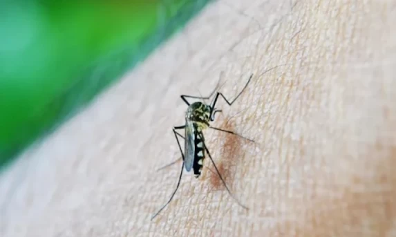 Paraná aparece em 3º entre estados com mais casos prováveis de dengue.