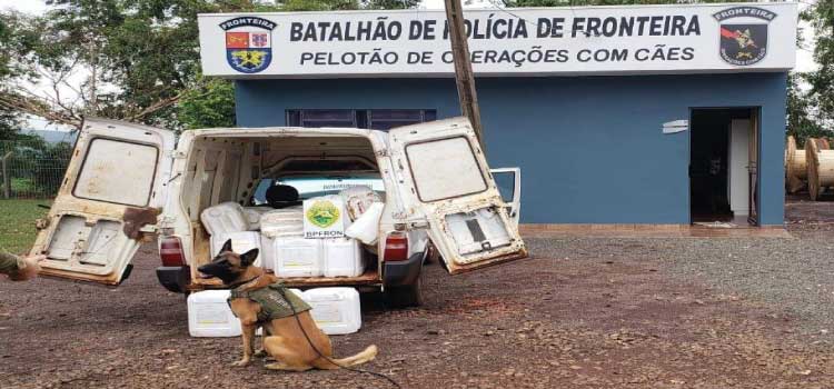 PARANÁ: BPFron localiza veículo com agrotóxicos contrabandeados em Pato Bragado