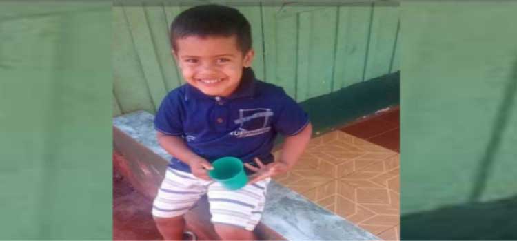 PARANÁ: Criança de 4 anos morre após sofrer descarga elétrica no norte do Paraná